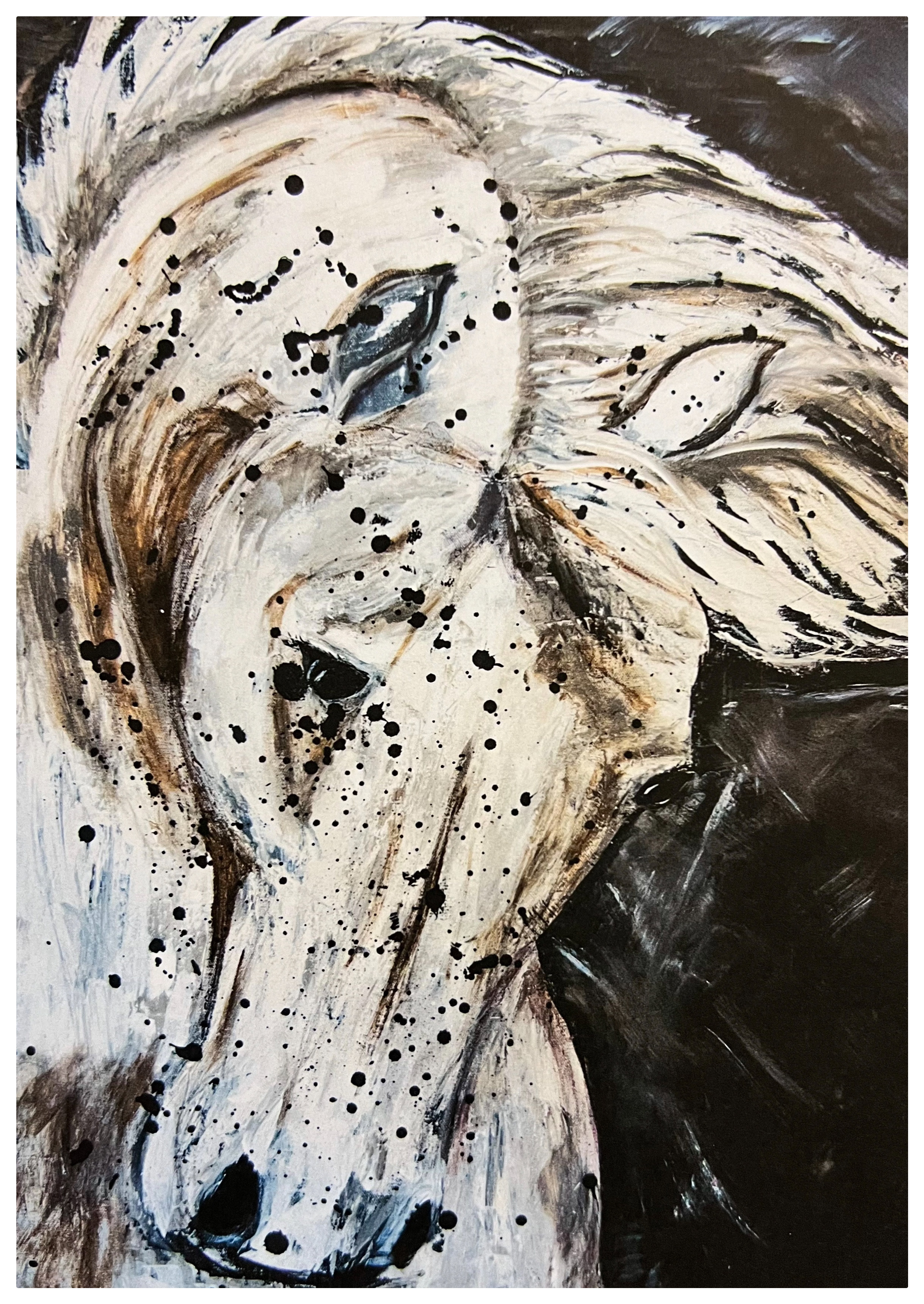 Snowy the White Horse