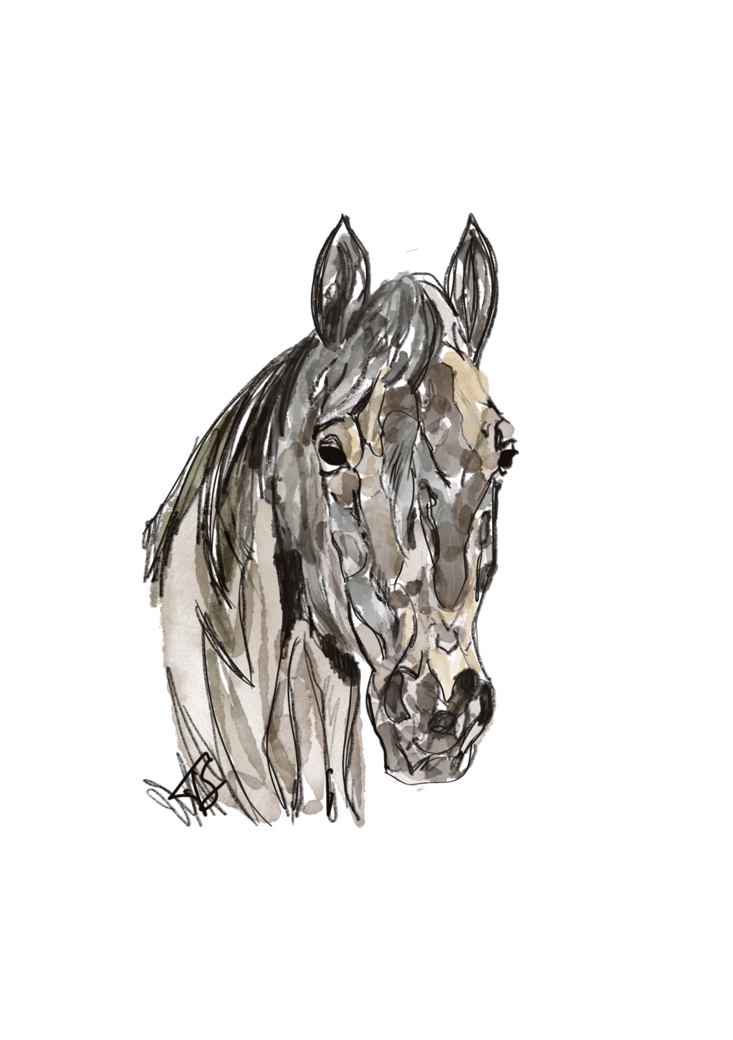 Watercolor Horse