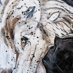 February Horse 8x10" Print on Matte Paper